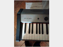 pianoforte-elettrico-prezzo-eur25000-pianoforte 